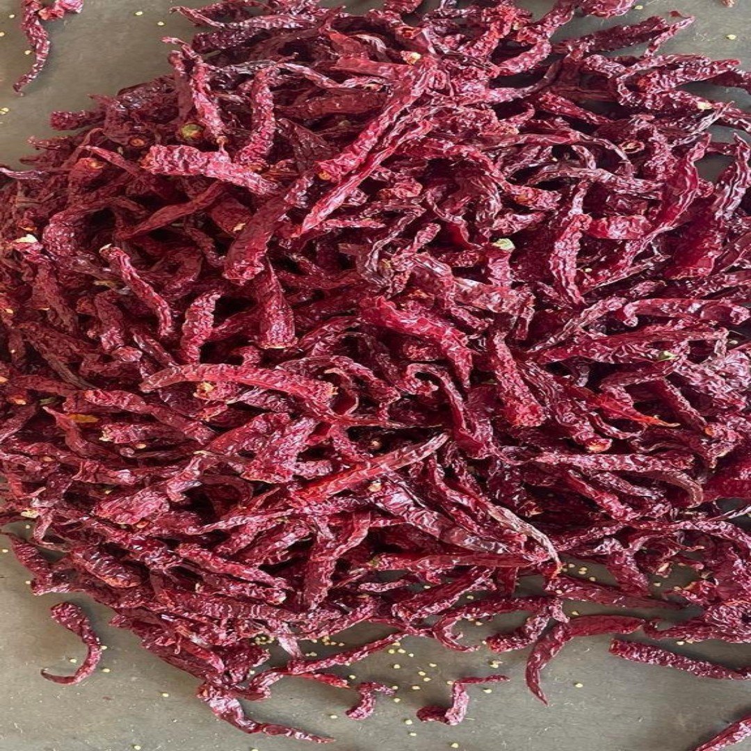 Syngenta 2043  Dry Red Chilli